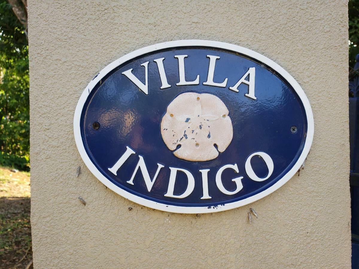 Villa Indigo Sunny 1Br Apartment In Private Gated Estate شارلوت أملي المظهر الخارجي الصورة