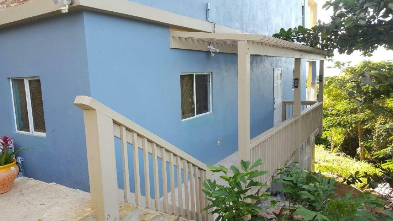 Villa Indigo Sunny 1Br Apartment In Private Gated Estate شارلوت أملي المظهر الخارجي الصورة